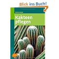 Kakteen pflegen