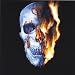 Cradle to Grave [Explicit]