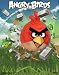 Angry Birds 3-D 3 Dimensional Poster Print, 11x14