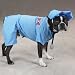 Dog Costume - Casual Canine ER Doctor Scrubs Pet Costume - X-Small - (XS)