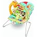 Fisher-Price Luv U Zoo Bouncer