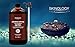 Arabica Coffee Shampoo and Body Wash, 100% Pure & Natural Ingredients, Anti Hair Loss Prevention, Restore Hair Growth, Great for All Hair & Skin Types, Paraben Free, 8 Fl. Oz.