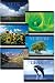 MOTIVATION CHEAP CHART 6PK GR2 & UP