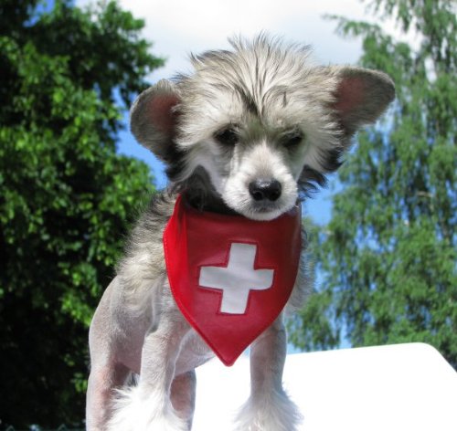 Halstuch “Swiss”