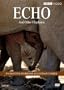 Echo and Other Elephants