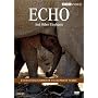 Echo and Other Elephants