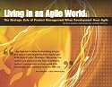 Living in an Agile World: The Role of Product Management When Development Goes Agile