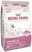 Royal Canin Dry Cat Food, Babycat 34 Formula, 3.5-Pound Bag
