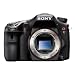 Sony Alpha SLT-A77V ( 24.7 MP,3 -inch LCD )