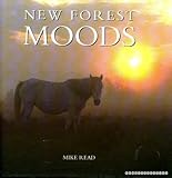 New Forest moods