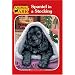 Spaniel in a Stocking (Animal Ark)