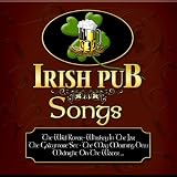 Irish Pub Songsvon "Various"