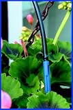 Review Harrod Horticultural  / Hanging Basket Watering Kit