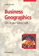 Business Geographics: GIS in der Wirtschaft