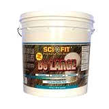 Scifit Be Large Ice Cream, Vanilla, 10-Pound Tub