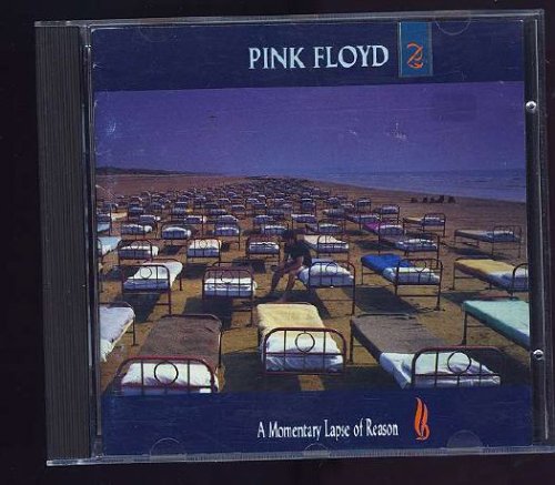 A Momentary Lapse of Reason