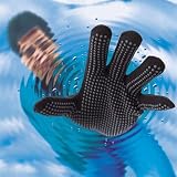 51ogUdv1XHL. SL160  Seal Skinz Waterproof Gloves    Large