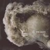 Image de l'album de Coalesce