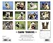 Just Cairn Terriers 2014 Wall Calendar