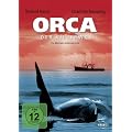Orca, der Killerwal