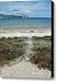 Path to Mackinac Bridge Canvas Print / Canvas Art - Artist LeeAnn McLane-Goetz