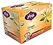 Yogi Tea EcoCup, Ginger, 10 Count (Pack of 6)