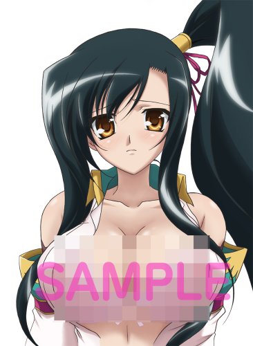恋姫†無双 1 生産限定特装版