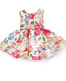 Sweet Heart Rose Multi Floral Dress, 12 Months