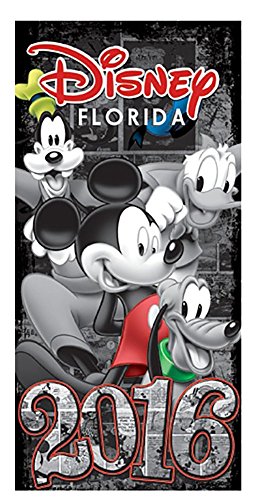 Disney Florida 2016 Original Four Beach Towel