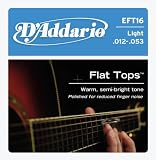 51oh3sImOeL. SL160  Buy D Addario EFT Guitar Strings