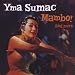 Mambo and More