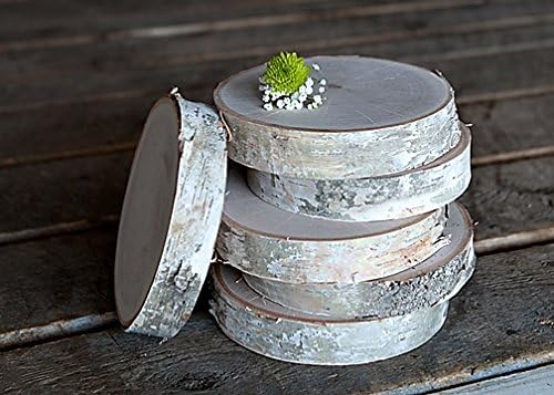 Wilson Evergreens Birch Round - (6-7 iinch Diameter x 1.25 inch Thick, 6 pcs.)