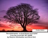 Revolutionaries, a short fiction excerpted from the novel Say My Name (Harvard Perspectives in Fiction)