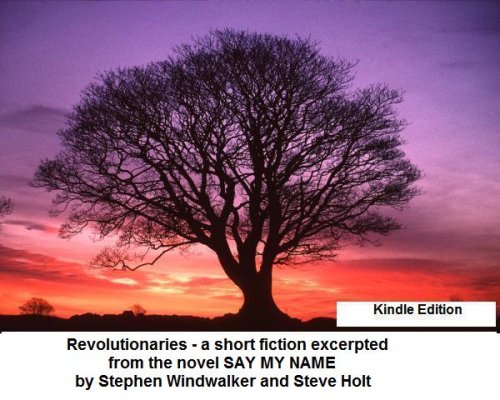 Revolutionaries, a short fiction excerpted from the novel Say My Name (Harvard Perspectives in Fiction)