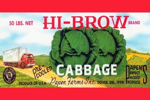 Hi-Brow Cabbage, 24x36 Paper Giclée