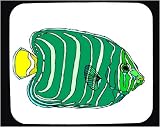 Mouse Pad with animal, aquatic, fish