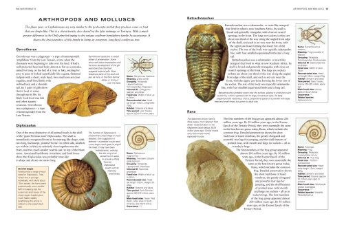 Cover image : The World Encyclopedia Of Fossils And Fossil-Collecting