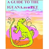 A Guide to The Iguana - Iguana Lizards as Pets