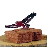 Eagle Rock Art with Kaleidikolor Finish