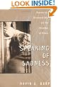 Speaking of Sadness: Depression, Disconnection, and the Meanings of Illness