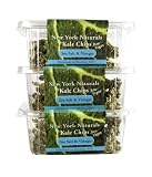 Cheap Deals on Sea Salt & Vinegar Kale Chips 3-pack by The Kale Factory, Inc.