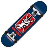 Birdhouse Silver Series Tony Hawk Ptero Skull Complete Micro Skateboard