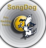 Greatest Hits Vol. 28 (Garth Brooks)