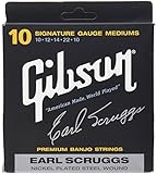 Gibson Earl Scruggs Signature Banjo Strings, Medium