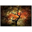 Trademar Art Philippe Sainte-Laudy Japanese Canvas Art