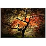 Trademar Art Philippe Sainte-Laudy Japanese Canvas Art Trademar Art Philippe Sainte-Laudy Japanese Canvas Art