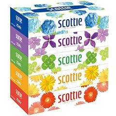 スコッティティッシュ 160組*5個パック