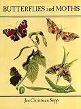 Butterflies and moths
