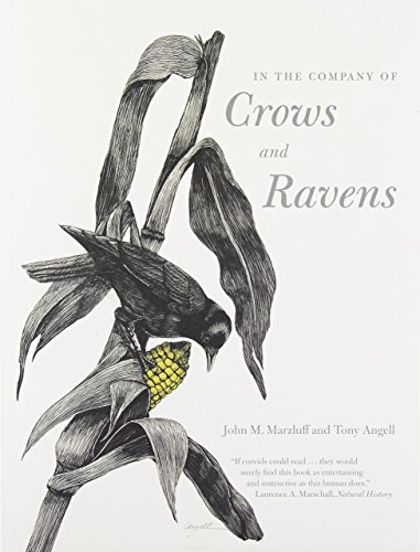 In the Company of Crows and Ravens by John M Marzluff (23-Mar-2007) Paperback