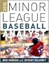 2010 Minor League Baseball Analyst